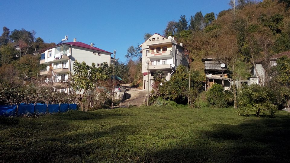 Fındıklı Kıyıcık Köyü Resimleri 10