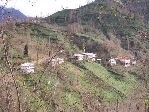 Fındıklı Meyvalı Köyü Resimleri 11
