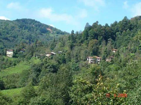 Fındıklı Meyvalı Köyü Resimleri 4