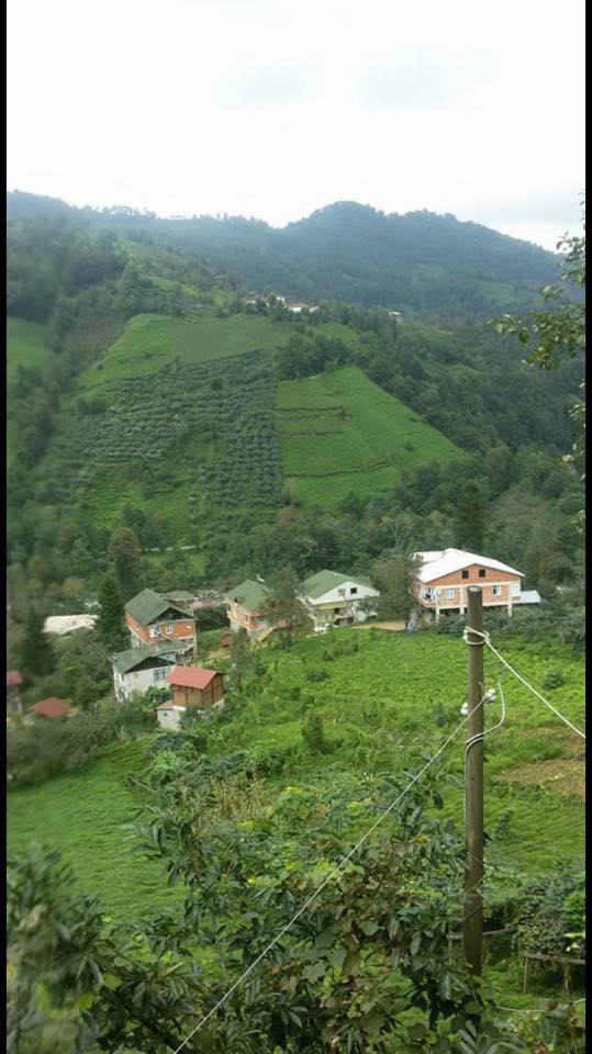 Fındıklı Meyvalı Köyü Resimleri 5