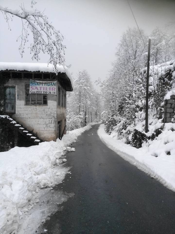 Fındıklı Meyvalı Köyü Resimleri 6