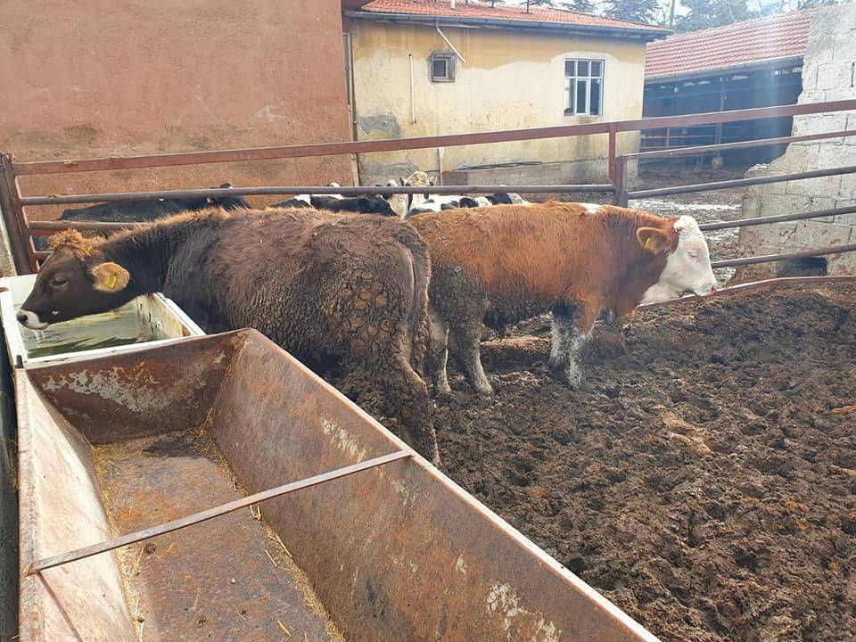 Hacılar Yediağaç Köyü Resimleri 1