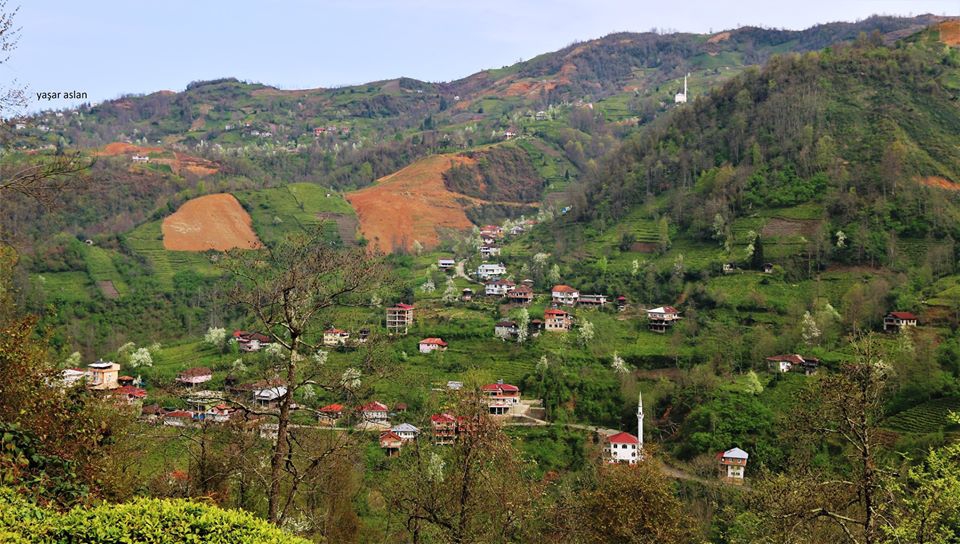 Fındıklı Sulak Köyü Resimleri 10