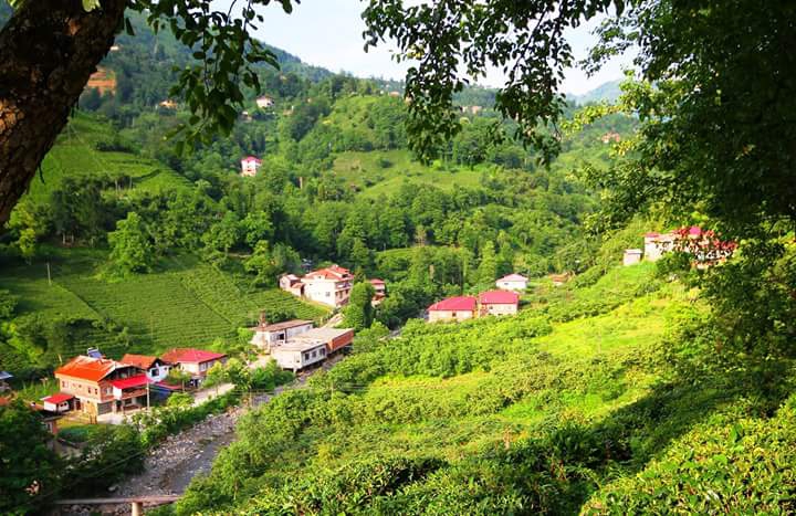 Fındıklı Sulak Köyü Resimleri 6