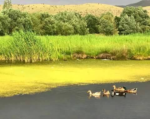 İncesu Dokuzpınar Köyü Resimleri 4