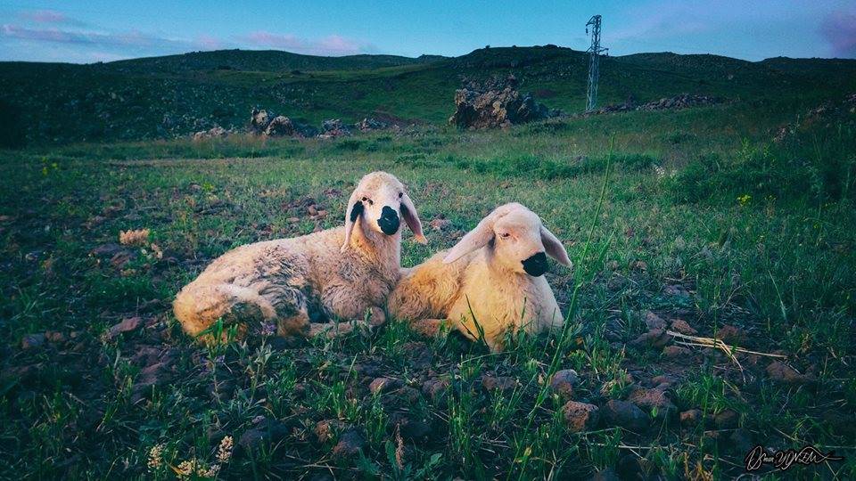 İncesu Gönenkent Köyü Resimleri 1