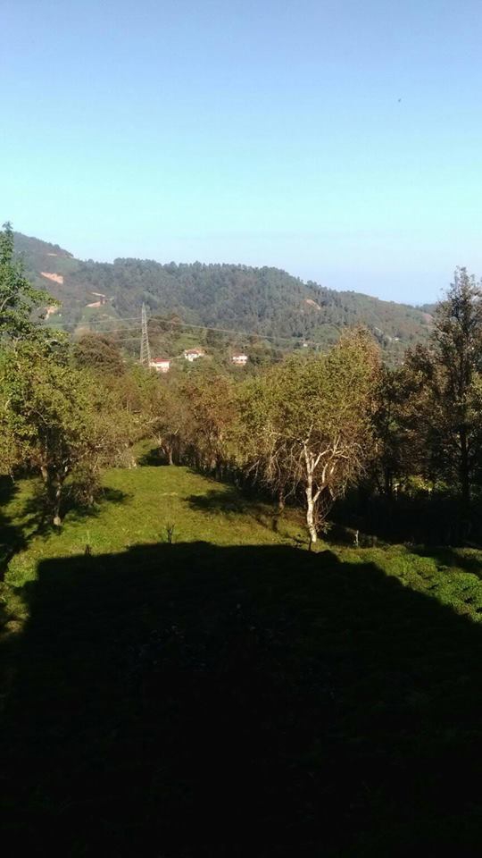 Fındıklı Sümer Köyü Resimleri 10