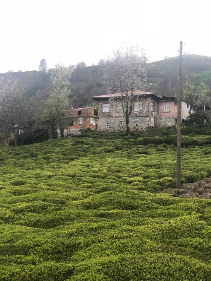 Fındıklı Sümer Köyü Resimleri 11