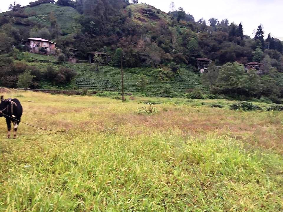 Fındıklı Sümer Köyü Resimleri 3