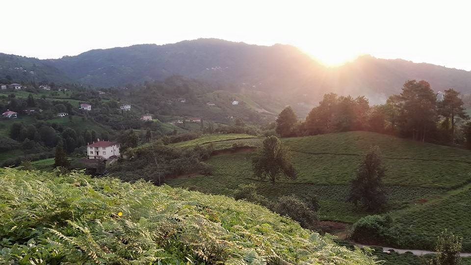 Fındıklı Sümer Köyü Resimleri 4