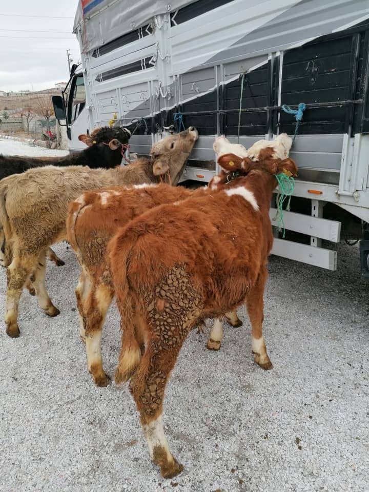 İncesu Hamurcu Köyü Resimleri 7