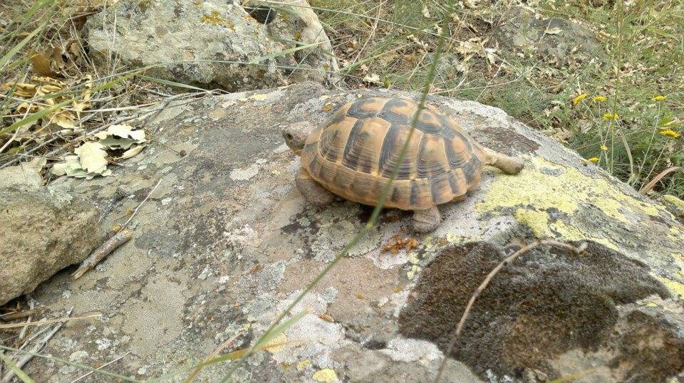 İncesu Kızılören Avşar Köyü Resimleri 2