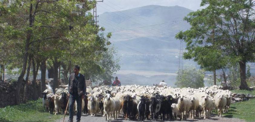 İncesu Sarıkürklü Köyü Resimleri 2