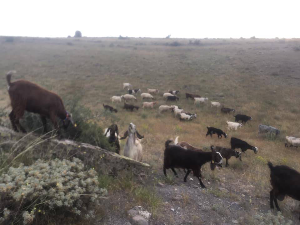 İncesu Sarıkürklü Köyü Resimleri 9