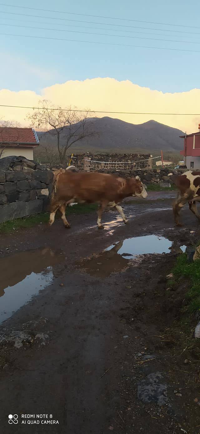 İncesu Subaşı Köyü Resimleri 4