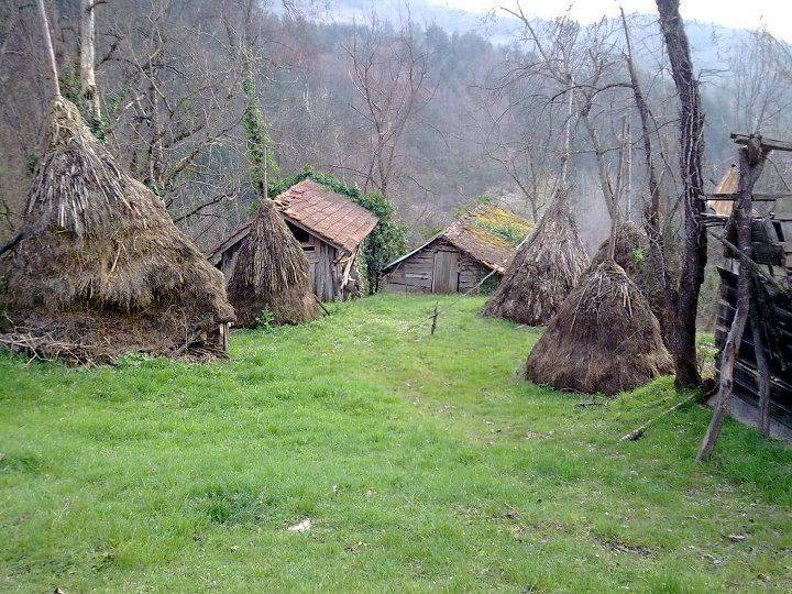 İncesu Süksün Zafer  Köyü Resimleri 3