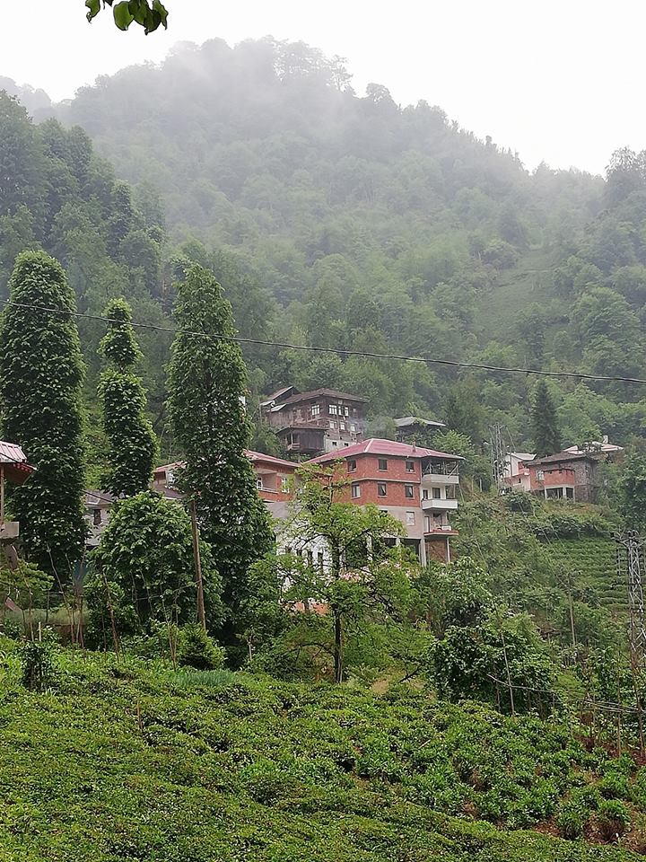 Fındıklı Yaylacılar Köyü Resimleri 3