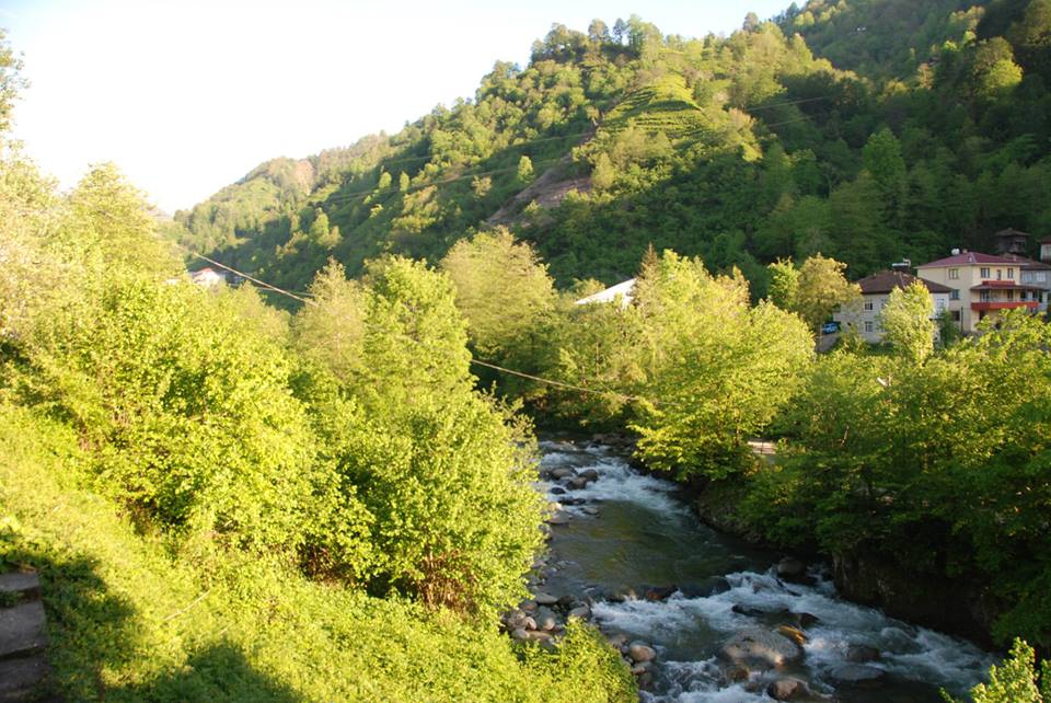 Fındıklı Yaylacılar Köyü Resimleri 5