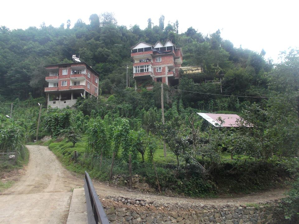 Fındıklı Yaylacılar Köyü Resimleri 6