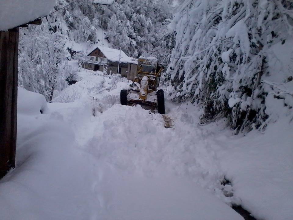 Fındıklı Yaylacılar Köyü Resimleri 7