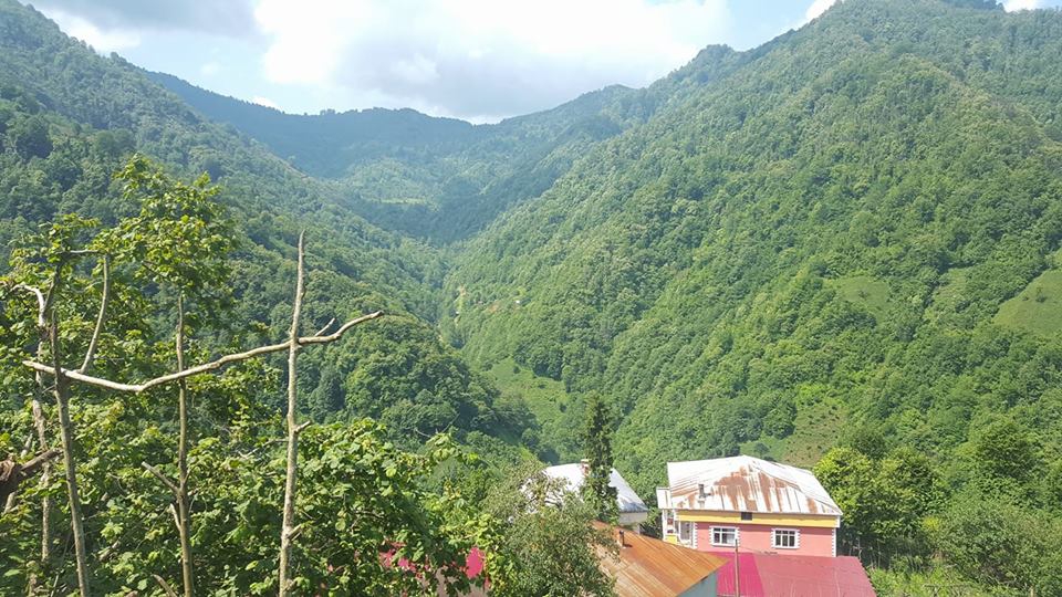 Fındıklı Yaylacılar Köyü Resimleri 9