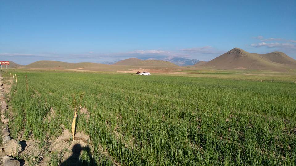 İncesu Üçkuyu Köyü Resimleri 3