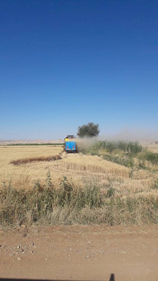 Nizip Gülkaya Köyü Resimleri 11