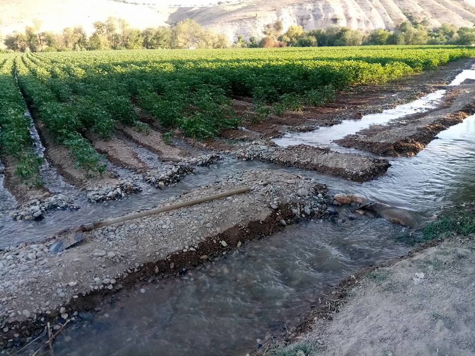 Nizip Gülkaya Köyü Resimleri 18