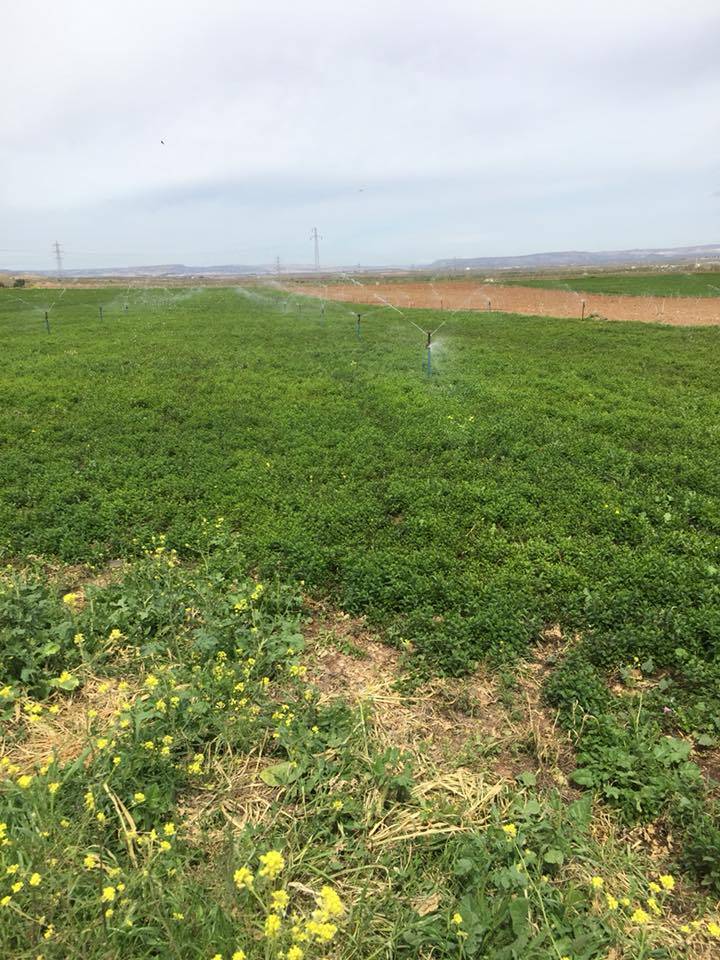 Nizip Gülkaya Köyü Resimleri 19