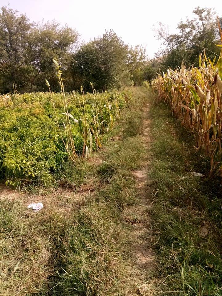 Nizip Gülkaya Köyü Resimleri 21