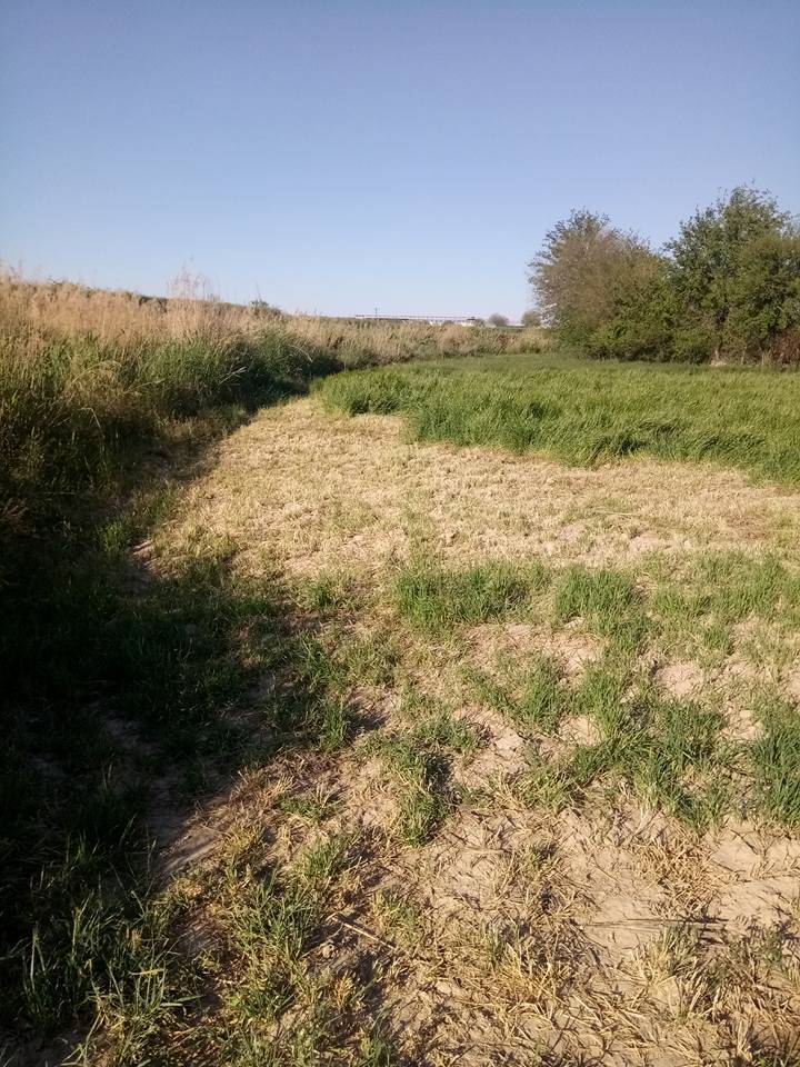 Nizip Gülkaya Köyü Resimleri 23