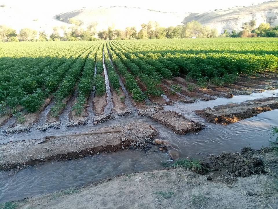 Nizip Gülkaya Köyü Resimleri 27