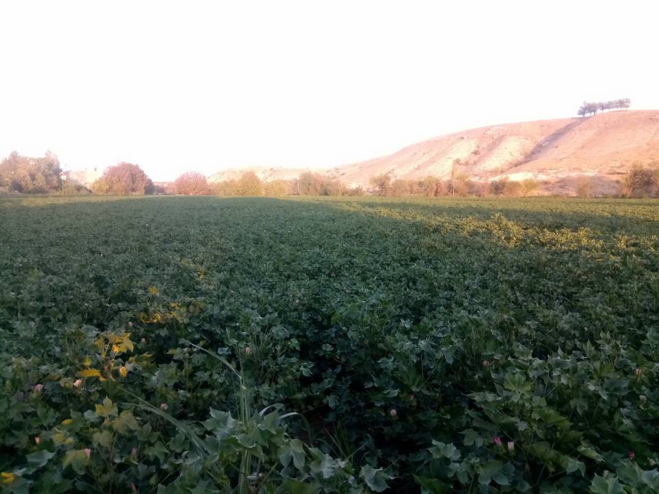 Nizip Gülkaya Köyü Resimleri 28