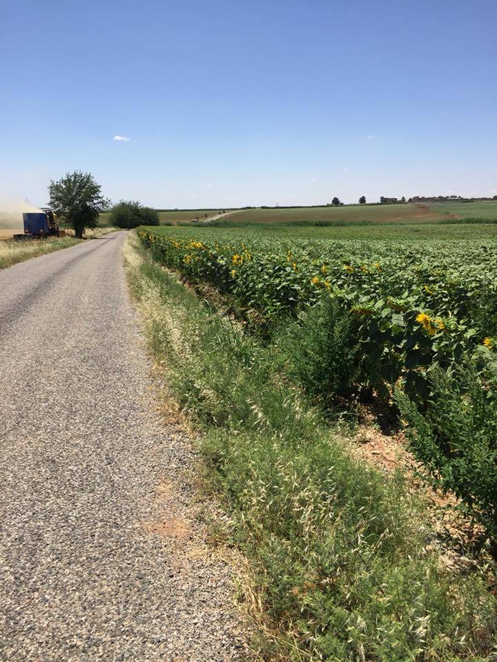 Nizip Gülkaya Köyü Resimleri 32