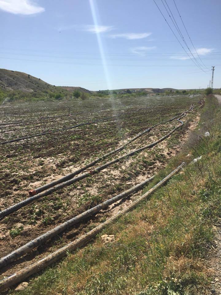 Nizip Gülkaya Köyü Resimleri 34