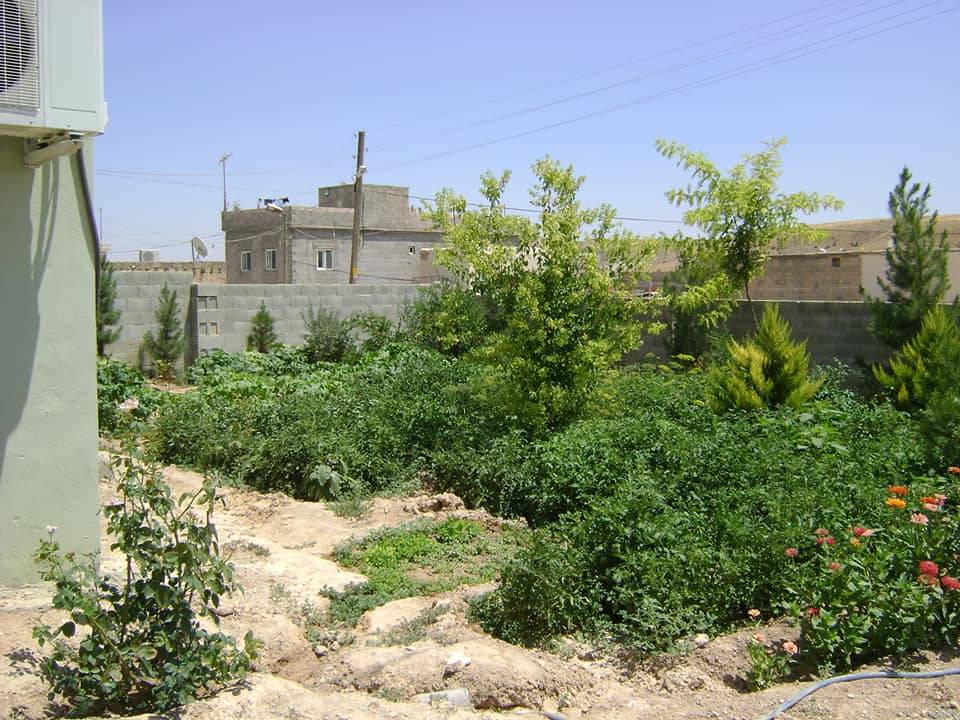 Nizip Gülkaya Köyü Resimleri 36