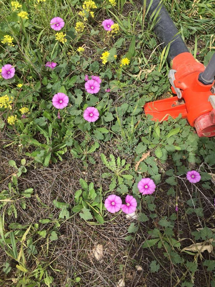 Nizip Gülkaya Köyü Resimleri 38