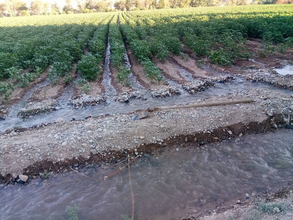 Nizip Gülkaya Köyü Resimleri 39