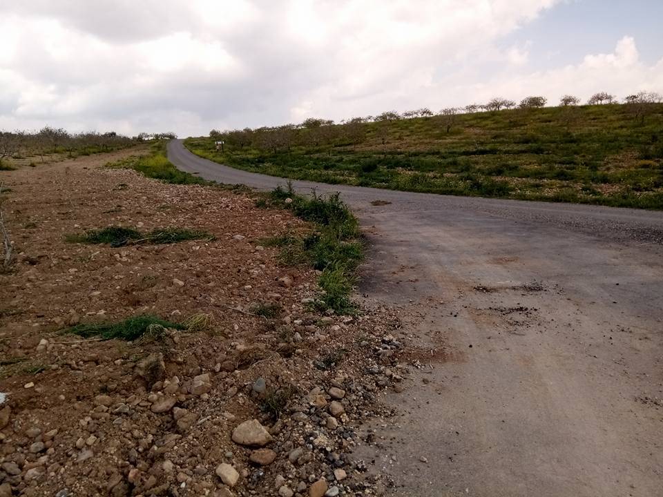 Nizip Gülkaya Köyü Resimleri 4