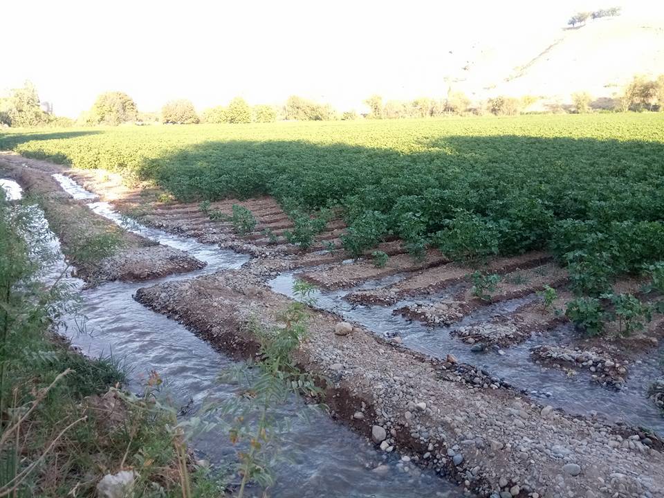 Nizip Gülkaya Köyü Resimleri 45