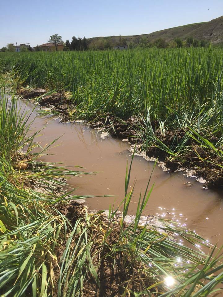 Nizip Gülkaya Köyü Resimleri 46