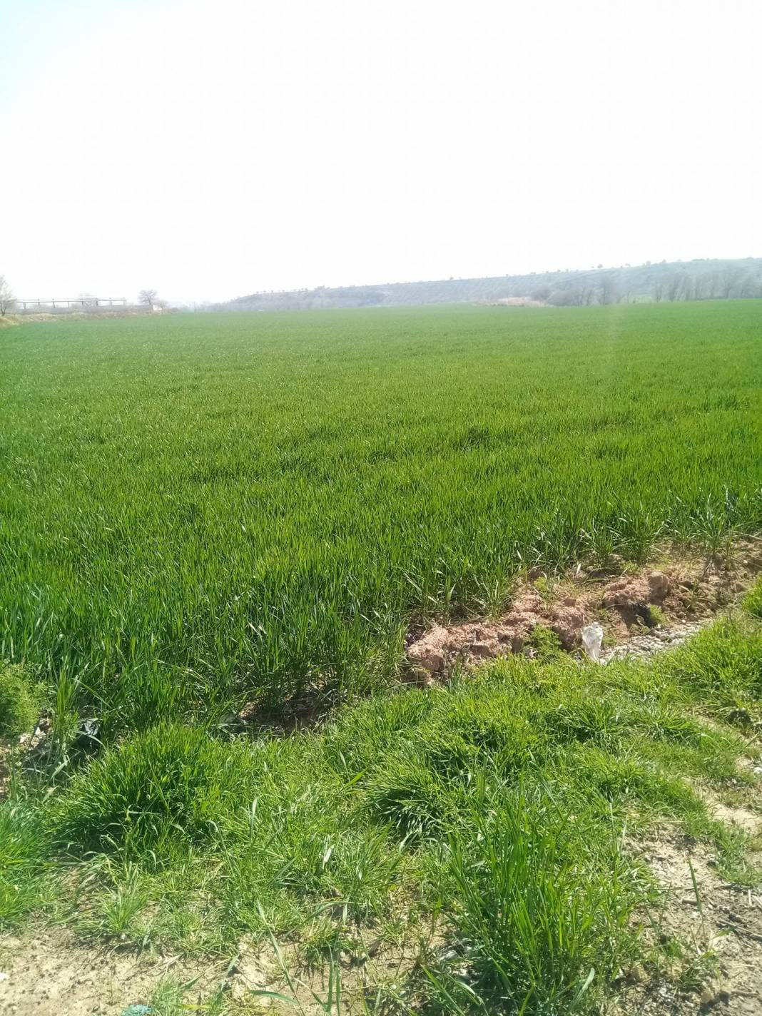 Nizip Gülkaya Köyü Resimleri 48