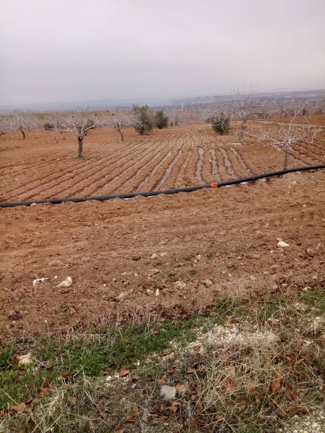 Nizip Gülkaya Köyü Resimleri 50