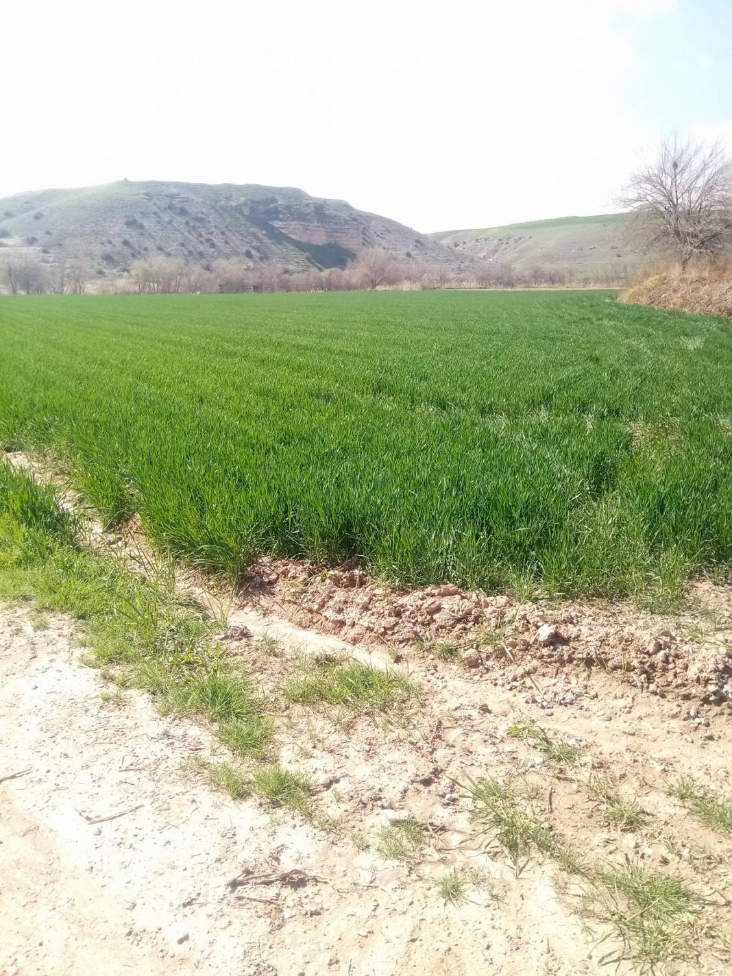 Nizip Gülkaya Köyü Resimleri 54