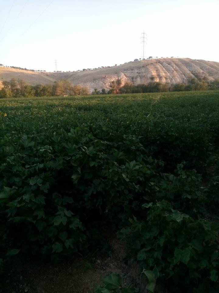 Nizip Gülkaya Köyü Resimleri 6