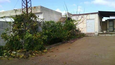 Nizip Gülkaya Köyü Resimleri 9