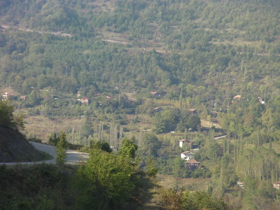 Fındıklı Yeniköy Köyü Resimleri 1