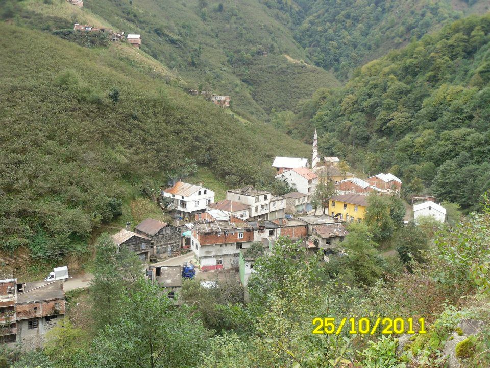 Fındıklı Yeniköy Köyü Resimleri 10
