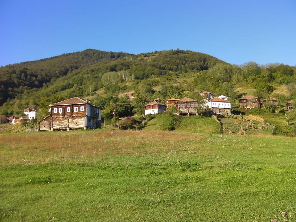 Fındıklı Yeniköy Köyü Resimleri 8