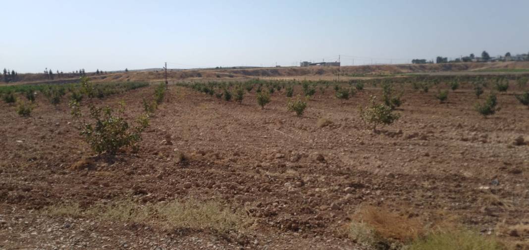 Nizip Günaltı Köyü Resimleri 1